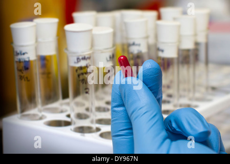 Hand mit blauem Latex-Handschuh unterstützt mehrere Tabletten für die Einstufung, Pillen mit Pille Veranstalter neben alten Holz kit Stockfoto