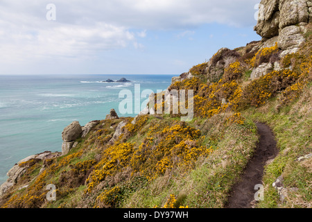 Der South West Coast Path in der Nähe von Cape Cornwall St Just Cornwall West Country England UK mit The Brisons Felsen in der Ferne Stockfoto