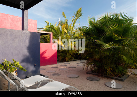 Mexikanische Fächerpalme und Liegestühle im Hof des modernen Boutique-hotel Stockfoto