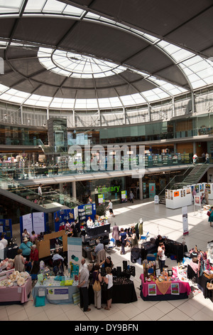 Großbritannien, England, Norfolk, Norwich, das Forum innere, Stände und Public Library Stockfoto