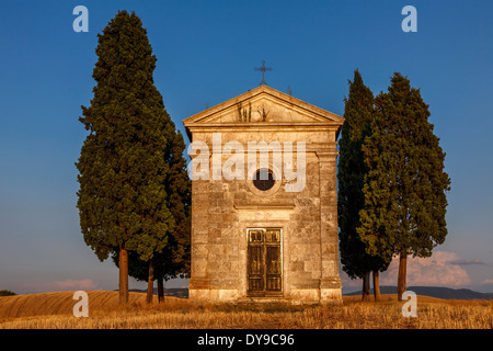 Klassischen toskanischen Landschaft, in der Nähe von Pienza, Toskana, Italien Stockfoto