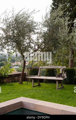 Rustikale alte Holzbank unter einem Olivenbaum in einem umbrischen Garten Stockfoto