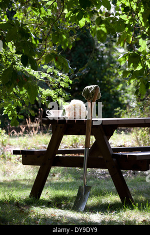 Einen Garten Spaten ruhen gegen ein Holztisch mit Teetasse und einen Strauß Rosen Stockfoto