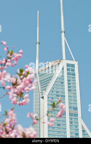 Le Royal Méridien Hotel gesehen vom Volkspark in Shanghai, China Stockfoto