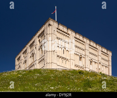 Großbritannien, England, Norfolk, Union Jack-Flagge über Norwich Schloßturms Stockfoto