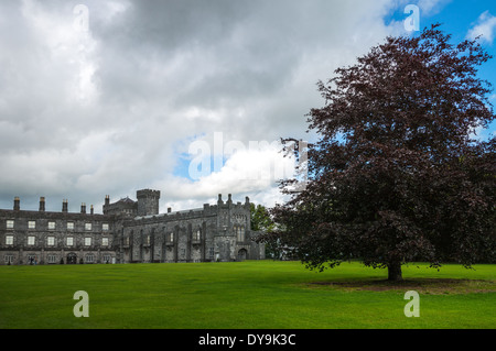 Irland, Kilkenny, die Burg vom Garten aus gesehen Stockfoto