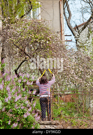 Gartenarbeit im Frühling Stockfoto