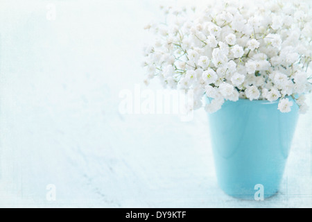 Weißen Schleierkraut Blumen in einer Vase auf hellblau strukturiertem Vintage-Hintergrund Stockfoto