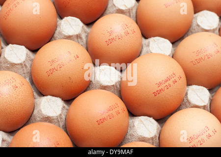 Ladung von Eiern mit Ablauf-Datum-Stempel auf Eierkarton Stockfoto