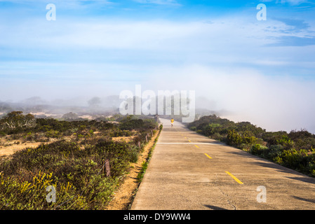 Wandern / Laufen weg an der Torrey Pines State Naturpark. La Jolla, Kalifornien, USA. Stockfoto