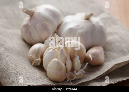 Knoblauch auf Sack Serviette, rustikalen Stil Stockfoto
