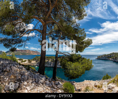 Calanque de Port Miou Calanque felsige Bucht mediterranen Landschaft Wasser Bäume Frühling Berge Meer Cassis Bouches du Rhone Fran Stockfoto