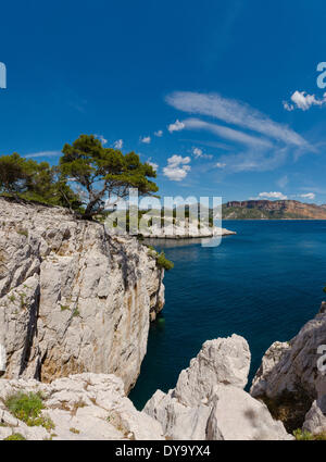 Calanque de Port Miou Calanque felsige Bucht mediterranen Landschaft Wasser Bäume Frühling Berge Meer Cassis Bouches du Rhone Fran Stockfoto