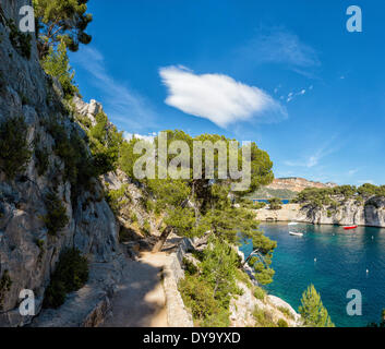 Calanque de Port Miou Calanque felsigen Bucht Wasser Landschaftsbäume Frühling Berge Meer Cassis Bouches du Rhone Frankreich Europa, Stockfoto