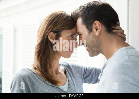 Paar Nasen Fenster berühren Stockfoto