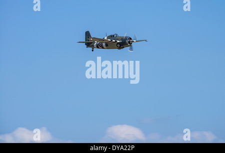 Grumman FM-2 Wildcat G-RUMW/JV579 'F' an Legenden, IWM Duxford Flying Stockfoto