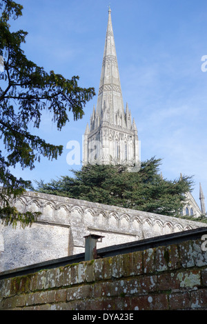 England, Wiltshire Salisbury. Der Turm der Kathedrale von Salisbury ist das höchste in England bei 404 ft (123 m) Stockfoto