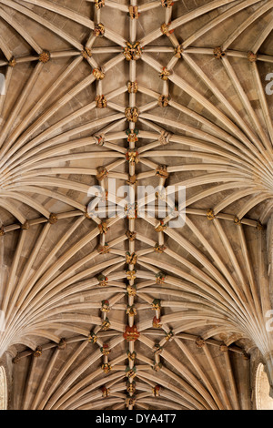 Großbritannien, England, Norfolk, Norwich, Kathedrale eingewölbt Kirchenschiff Dach Stockfoto