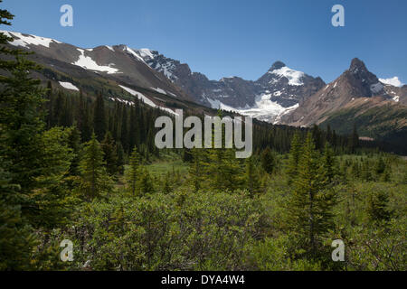 Alberta Banff Nationalpark Berge Eis Hilda Peak Kanada Landschaft Gletscherlandschaft Mount Athabasca Nordamerika Rocky Moun Stockfoto