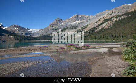 Alberta Banff Nationalpark Berge Bow Lake Fischer Kanada Landschaft Landschaft Nordamerika Rocky Mountains See reflectio Stockfoto