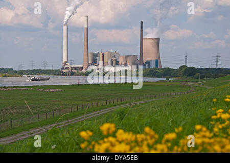 Deutschland Duisburg Europa EVONIK Kohle-Kraftwerk Kraftwerk Energie Nordrhein-Westfalen-Rhein-Ruhr-Gebiet STEAG Walsum, Stockfoto
