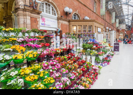 England, London, Bahnhof Marylebone, Flower Stall und Station Interior Stockfoto