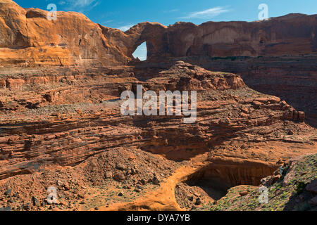 Alkoven Cottonwood Pappeln Coyote Gulch unten Wüstenlack Entwässerung Escalante Glen Canyon National Recreation Area Grand S Stockfoto