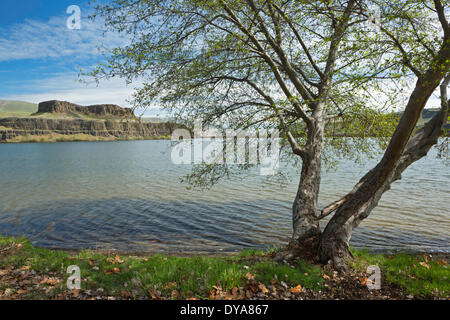 Horsethief Butte State Park Columbia Hills State Park Horsethief Butte WA Washington USA Amerika Vereinigte Staaten Wasserteich rive Stockfoto