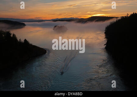 Wälder beherbergen Bucht Hafen Whidbey Island WA Washington USA Amerika Vereinigte Staaten Wasser San Juan Inseln Meer Pazifik Oce Stockfoto