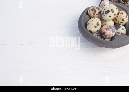 Wachteleier sind klein und bunt. Sie können roh oder gekocht gegessen werden. Die Wachteleier sind in einem Karton. Stockfoto