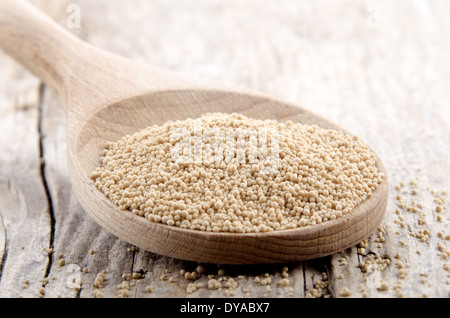 aktive Trockenhefe auf einem Holzlöffel Stockfoto