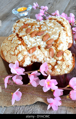 süße Osterkuchen Colomba gemacht mit Mandeln und Zucker genannt Stockfoto