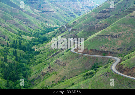 Eine kurvenreiche Landstraße 3 schlängelt sich zwischen Buford Creek Canyon im Norden Osten Oregons. Frühling. USA Stockfoto