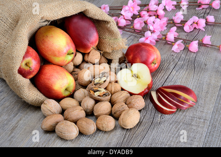 Plünderung Nuss und rote Äpfel mit Blumen Stockfoto