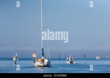 Segel- und Motorboot in Charlotte Bay, FL, USA Stockfoto