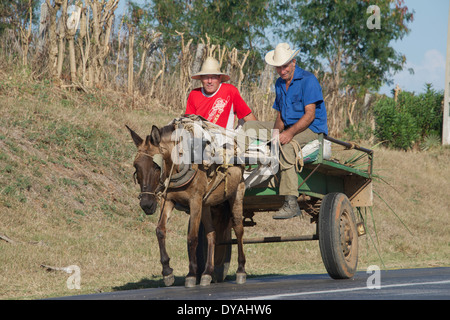 Zwei Männer auf Pferd gezeichneten Wagen Provinz Sancti Spiritus-Kuba Stockfoto