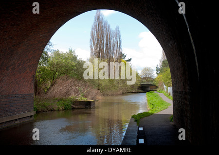 Droitwich Canal bei Droitwich Spa, Worcestershire, England, UK Stockfoto