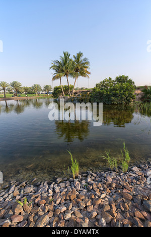 Bild des künstlichen Sees im Emirates Golf Club in Dubai, Vereinigte Arabische Emirate Stockfoto