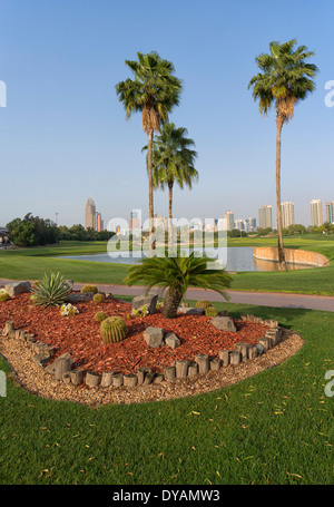 Bild von Palmen im Emirates Golf Club in Dubai, Vereinigte Arabische Emirate Stockfoto