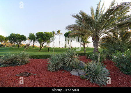 Bild vom Emirates Golf Club in Dubai, Vereinigte Arabische Emirate Stockfoto