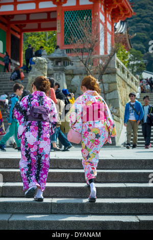 Junge Japanerinnen tragen Kimonos klettern Treppen Kiyomizu Tempel, Kyoto. Stockfoto