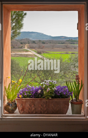 Blick über die französische Landschaft durch ein Fenster Bauernhaus in der Provence. Olivenbäume im Vordergrund. Stockfoto