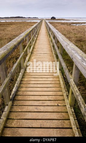 Board Walk auf Newtown National Nature Reserve, Isle of Wight, England, UK. Stockfoto