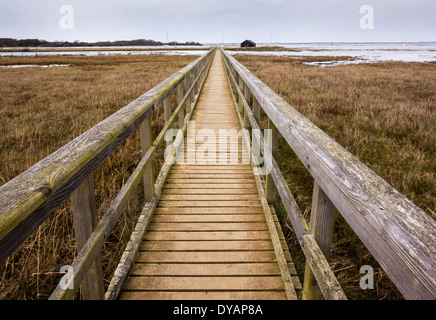 Board Walk auf Newtown National Nature Reserve, Isle of Wight, England, UK. Stockfoto