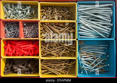 Bunte Zimmerei Schachtel mit Metallschrauben, die von oben gesehen Stockfoto