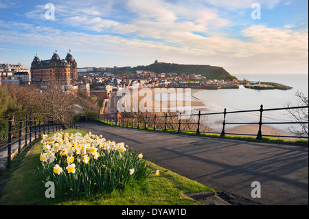 Am frühen Morgen im Frühjahr über North Bay, zeigt The Grand Hotel und das Schloss, Scarborough, North Yorkshire, UK Stockfoto