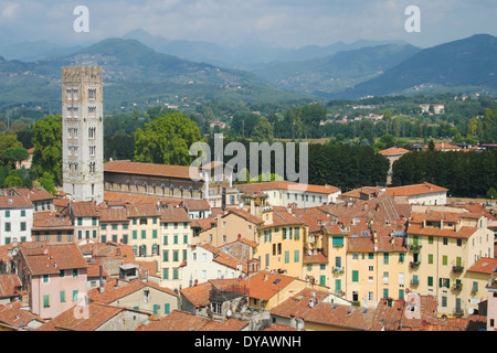 Panorama der Altstadt von Lucca, Toskana, Italien. Stockfoto