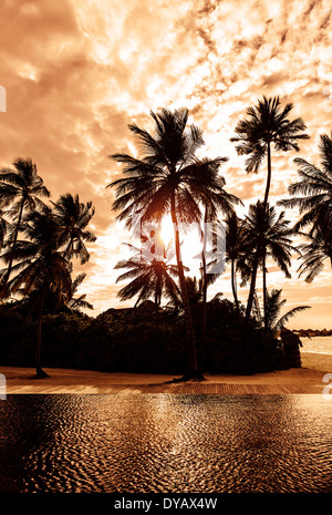Tropischer Strand Sonnenuntergang, schöne Karte mit Silhouette der Palmen am bewölkten Himmelshintergrund, Luxus-Sommer-Urlaub-Konzept Stockfoto