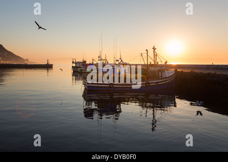 Angelboote/Fischerboote vertäut im Hafen von Kalk Bay in Kapstadt in der Morgendämmerung. Sonnenlicht beleuchtet die Boote. Stockfoto