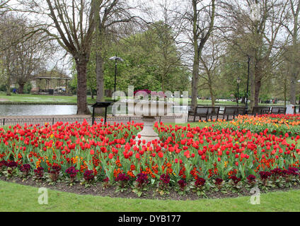 Bedford, UK. 12. April 2014. Herrliche bunte Anzeige von Tulpen auf dem Damm durch den großen Fluss Ouse in Bedford, England am 12. April 2014 Credit: KEITH MAYHEW/Alamy Live News Stockfoto